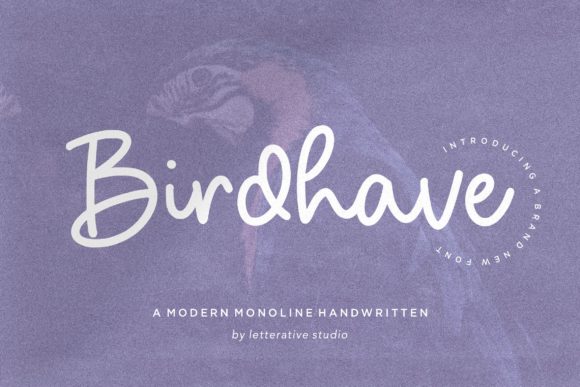 Discover Birdhave: A Handwritten Font for Crafters
