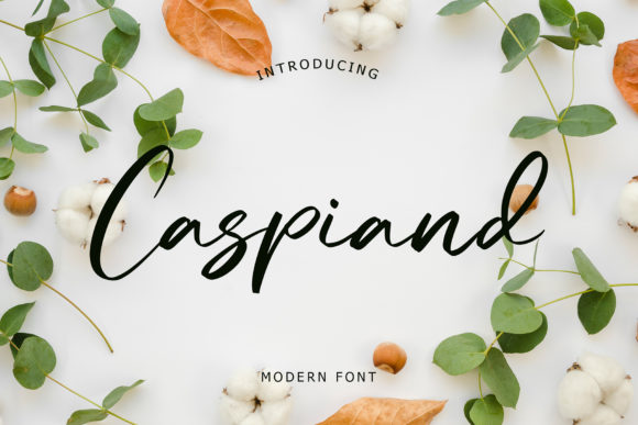Discover Caspiand: A Modern Handwritten Font for Web Design