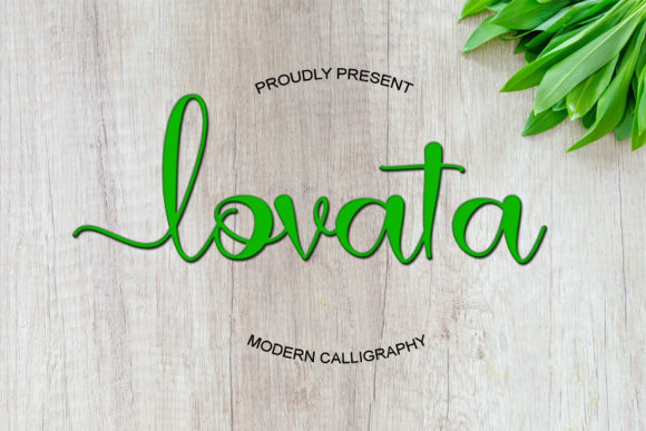 Elevate Your Craft with Lovata: A Premium Calligraphy Font