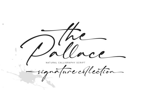 Transform Your Brand with The Pallace Font